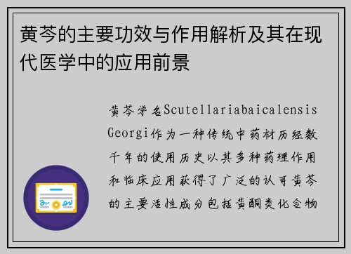 黄芩的主要功效与作用解析及其在现代医学中的应用前景